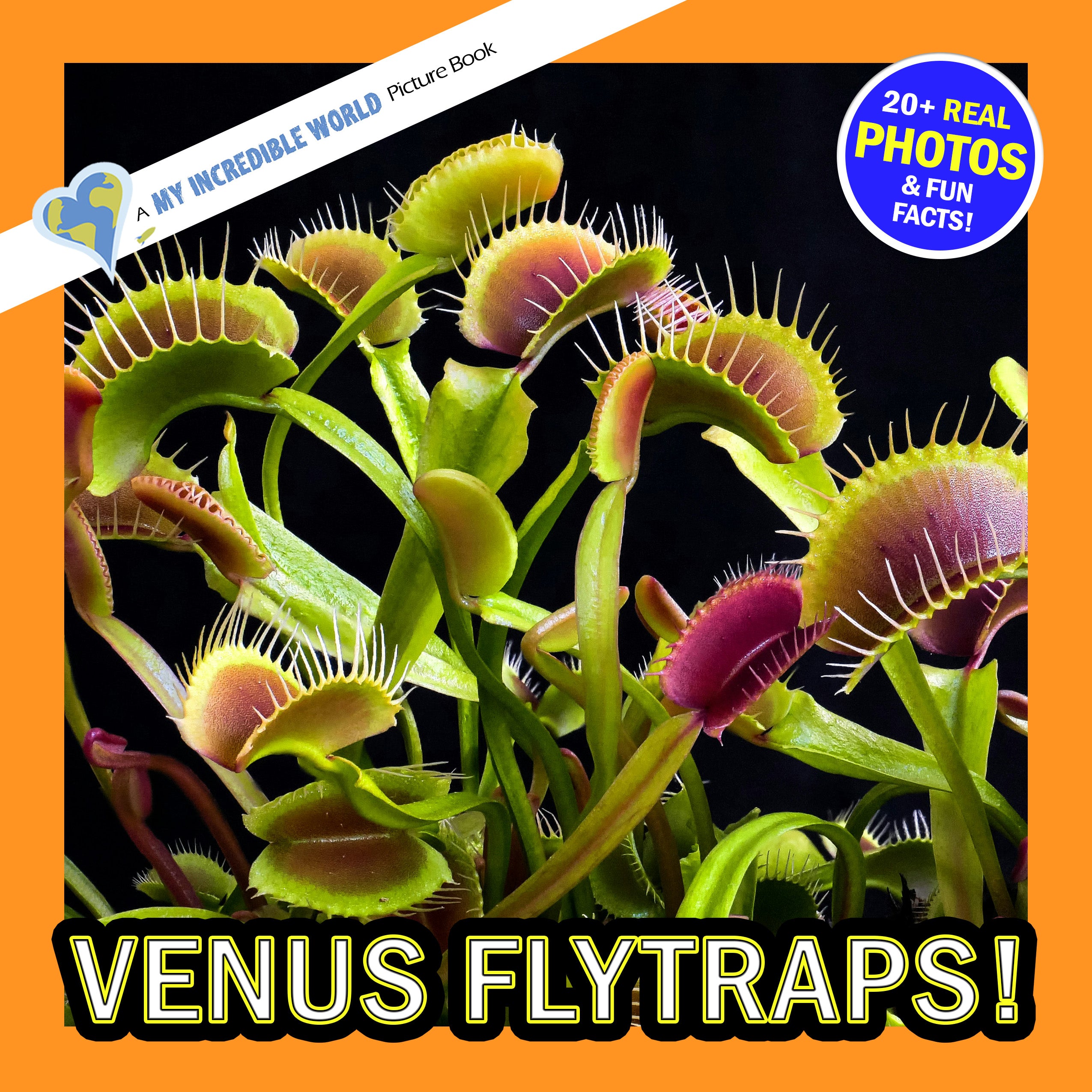 Venus Flytraps! A My Incredible World Picture Book for Children